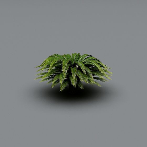 Vibrant Fern 3D Model for Nature-Inspired Design