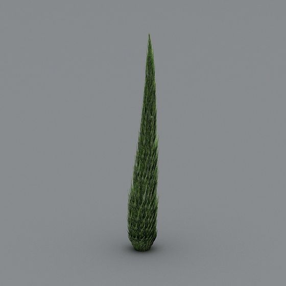 Lifelike Evergreen Tree 3D Model