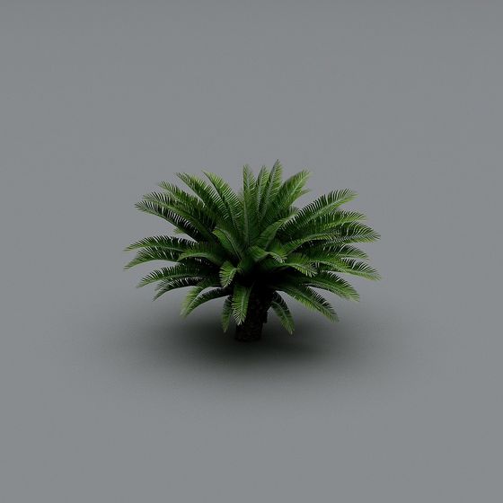 Lush Cycad Tree Low-Poly 3D Model