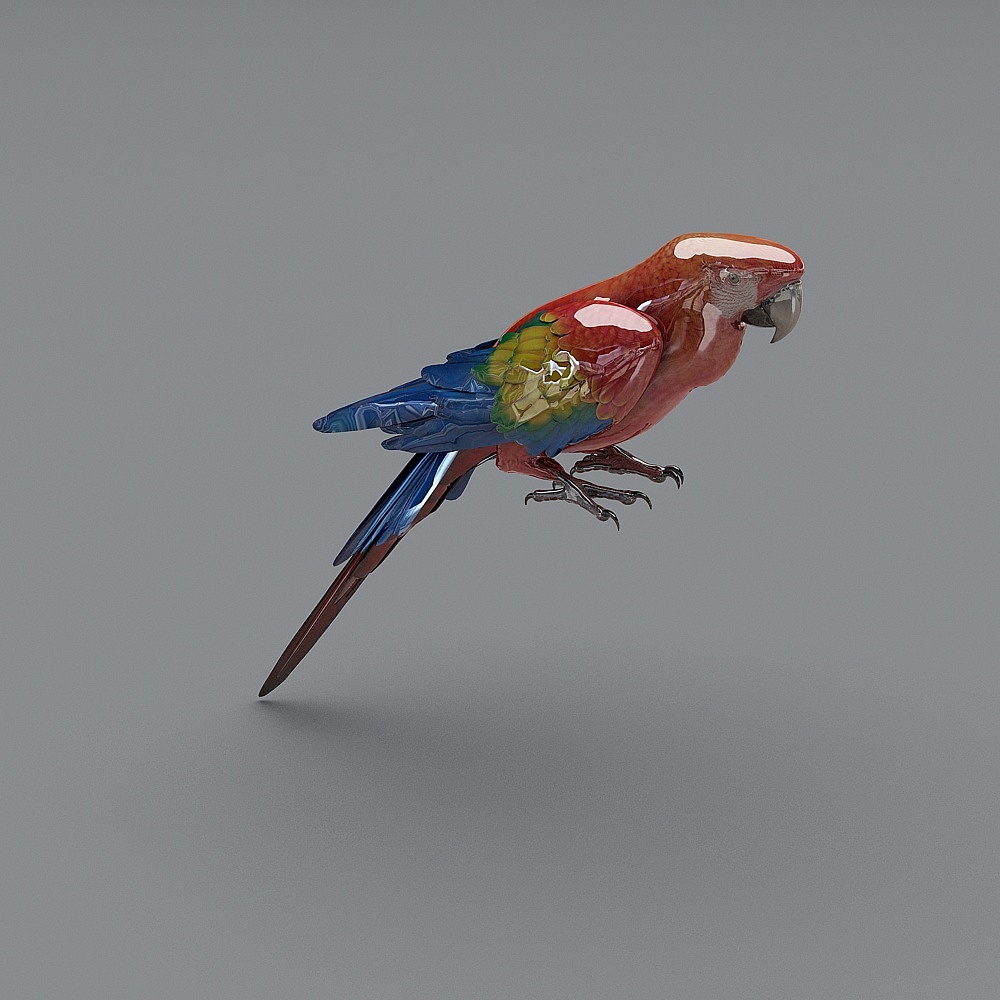 3d_parrot