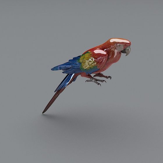 Colorful Tropical Parrot 3D model for Creative Projects