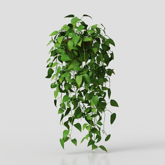 Elegant Hanging Pothos 3D model for Natural Touch
