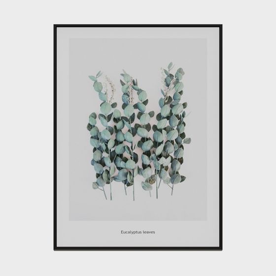 Eucalyptus Leaves 3D model for Creative Projects
