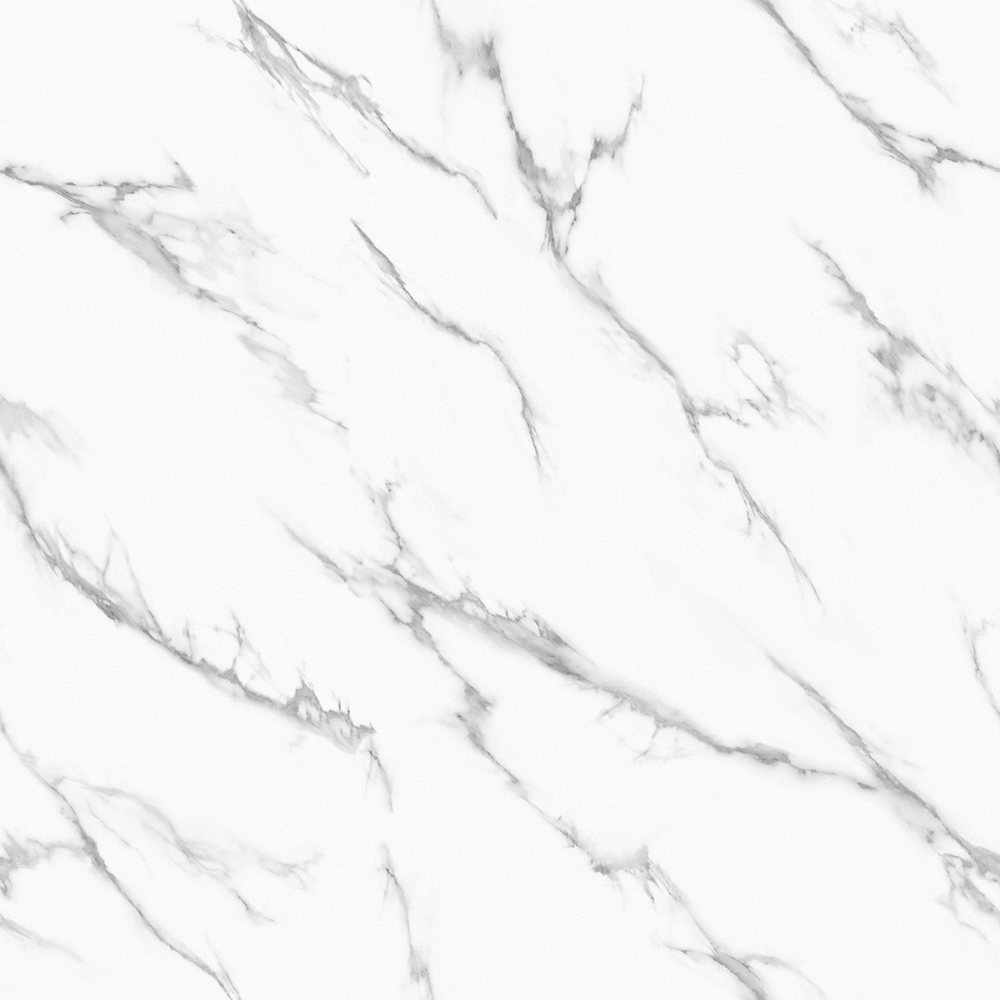 TP-2-SQ2219 Shuyu Feibai