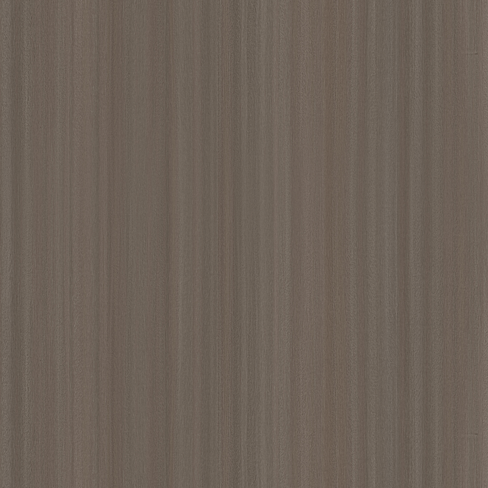 TP-2-MS2206 Murky Gray Eucalyptus