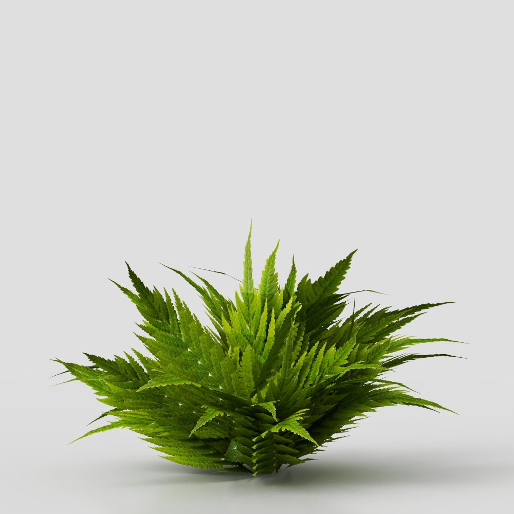 Fern Bush Low-Polygon 3D Model