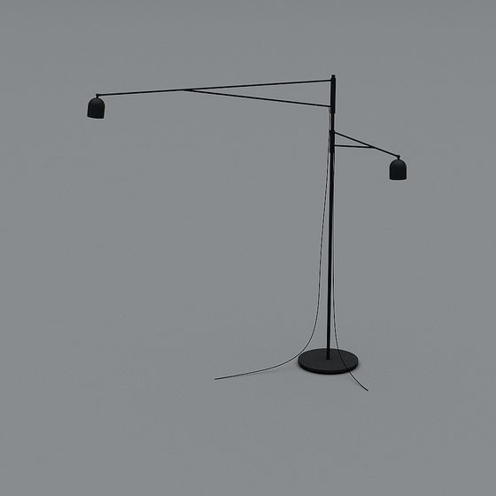 Elegant Dual-Arm Floor Lamp 3D Model