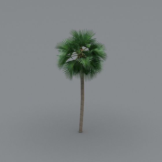 Tropical Palm Tree 3D model
