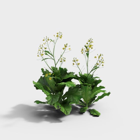 Vibrant Wildflower Cluster 3D model