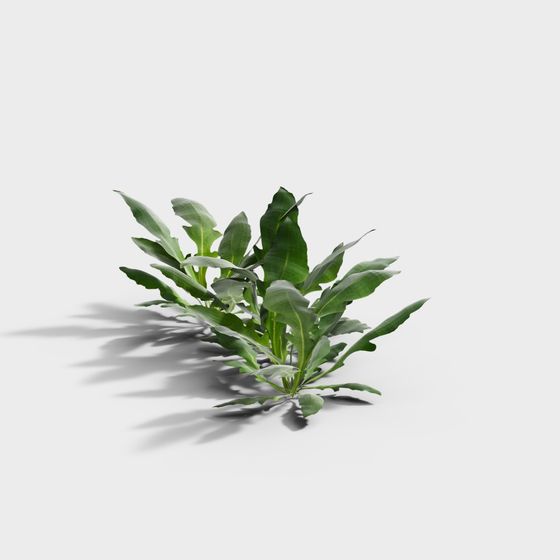 Low-Poly Tropical Plant 3D model