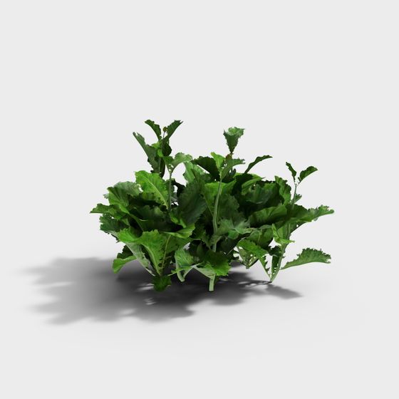 Vibrant 3D Green Plant Model for Creative Projects