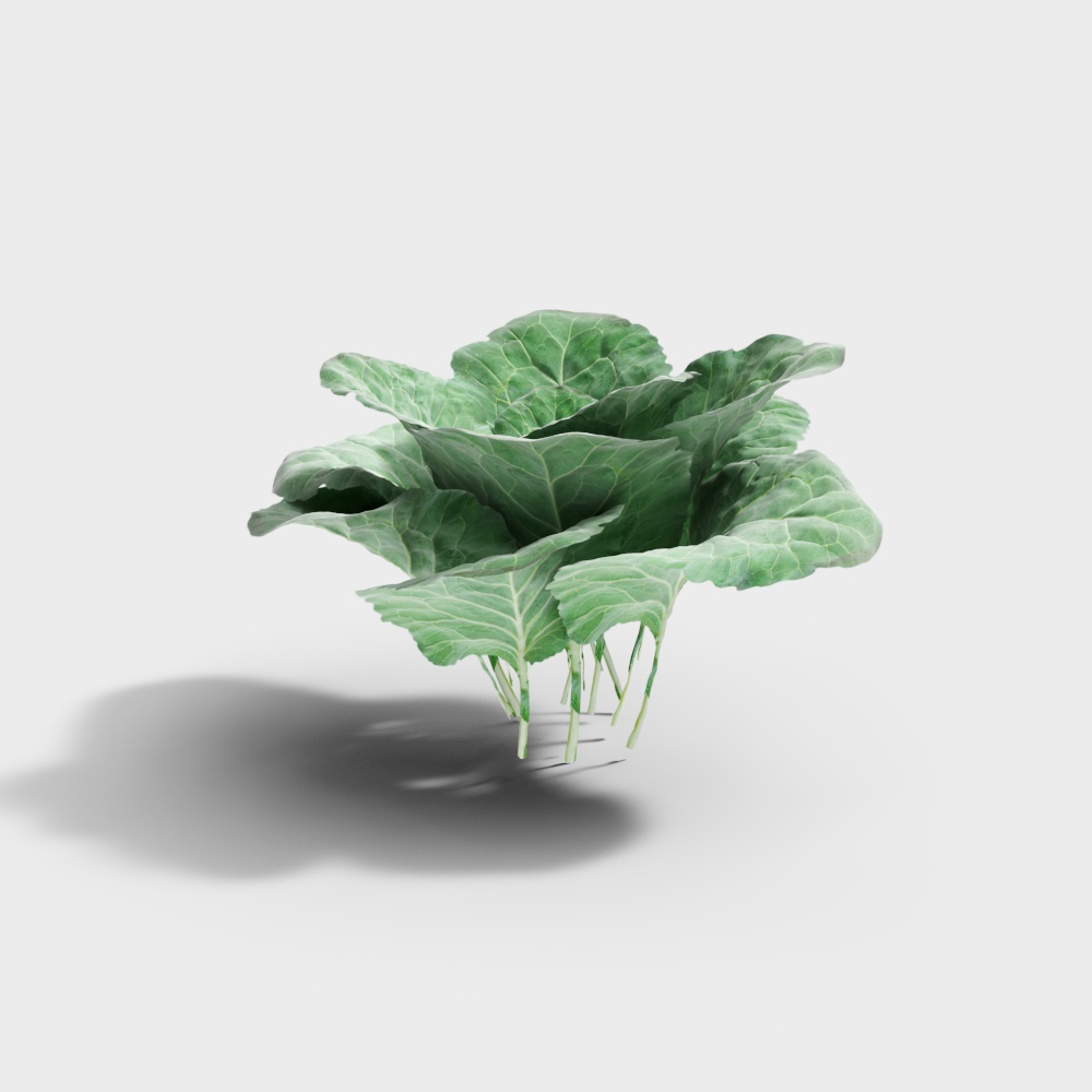 Low Poly Green Cabbage 3D model
