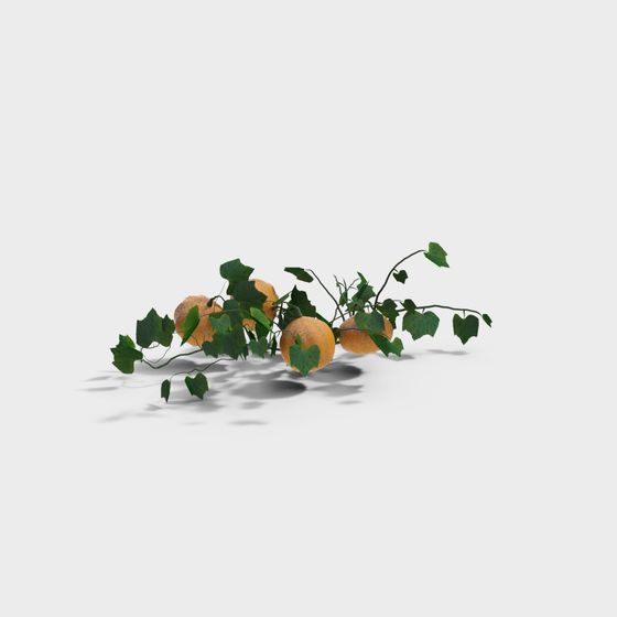 Orange Fruit with Vines 3D Model for Creative Projects