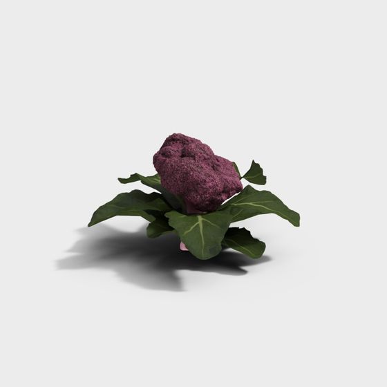 Realistic Purple Cauliflower 3D Model for Creative Projects