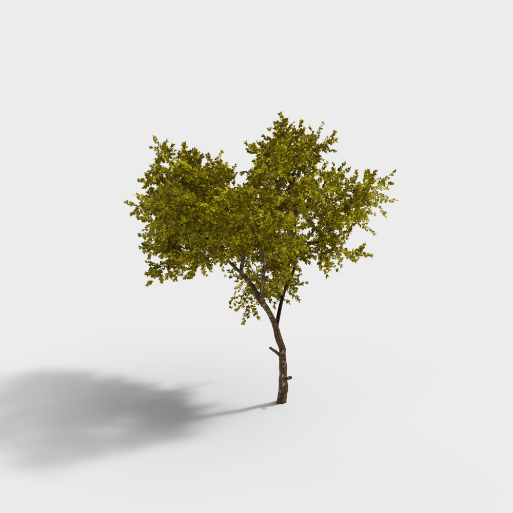 Lifelike Low Poly Oak Tree 3D Model