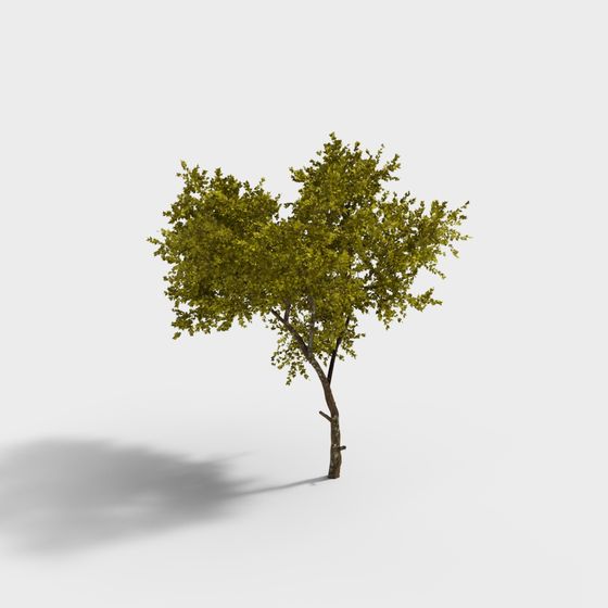 Lifelike Low Poly Oak Tree 3D Model