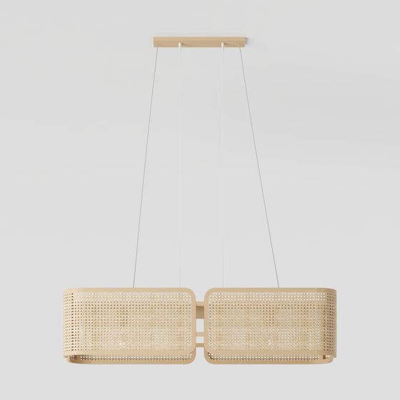 Elegant Dual Frame Pendant Light 3D model