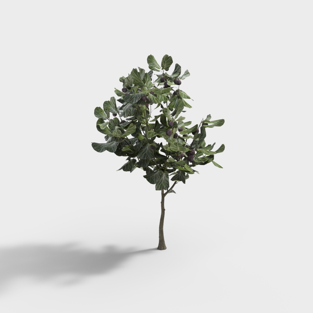 Vibrant Olive Tree 3D Model for Natural Designs