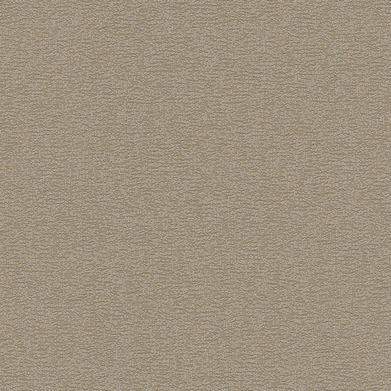 Gray Wall Covering 3D Model