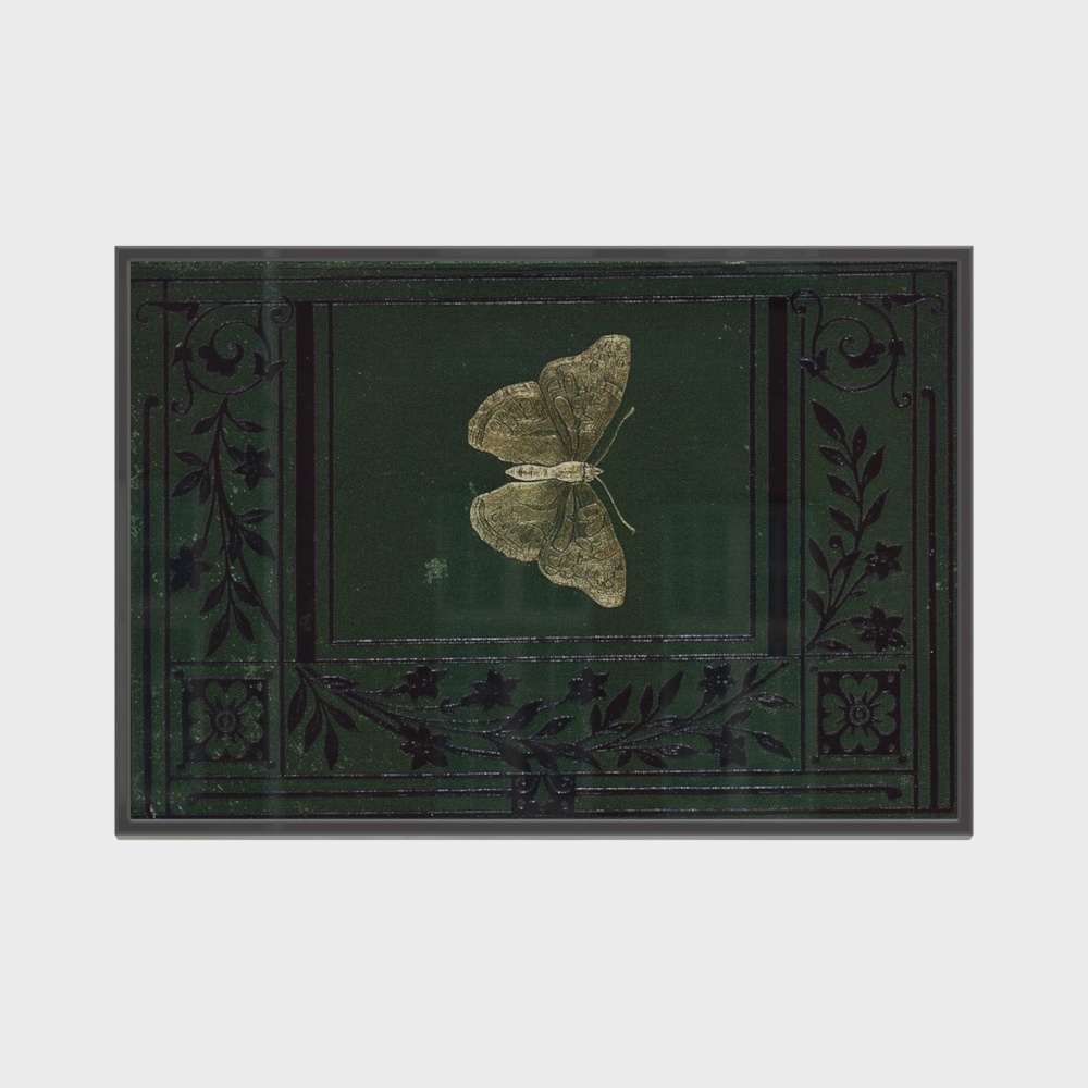 Butterfly Shadow Green Realm 3D Model – Low-Poly Art