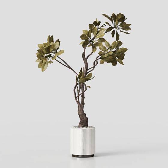 French green plants