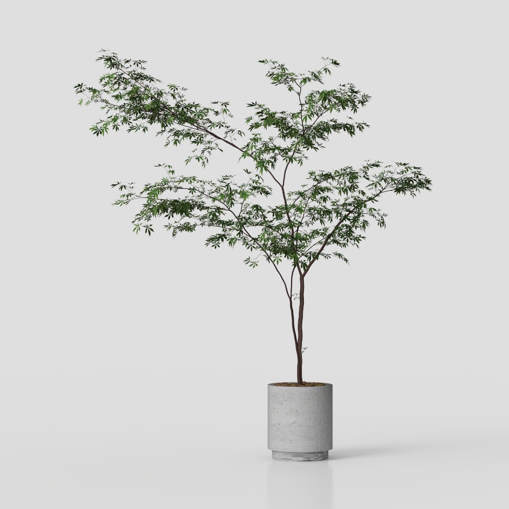 City Greenery 3D Model – Low-Poly Vibrant Plant