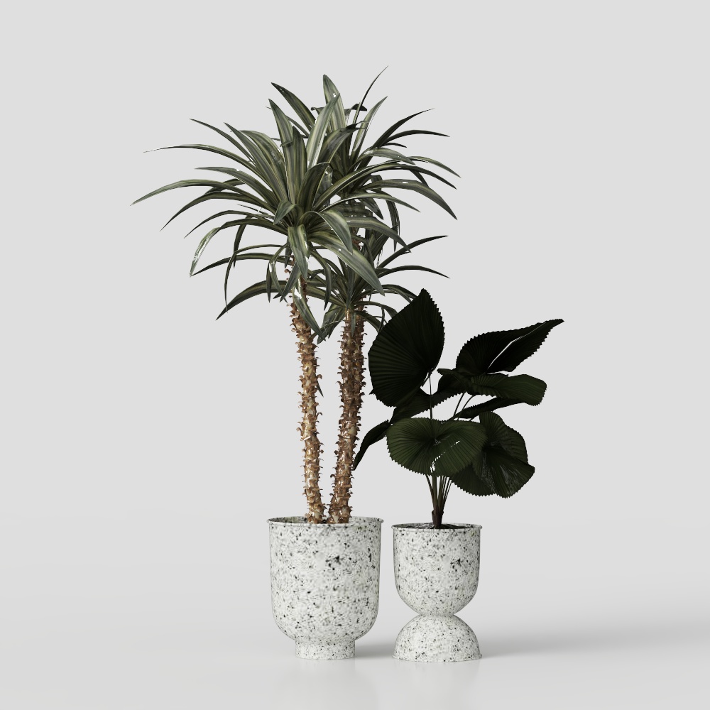 Французские зеленые растения