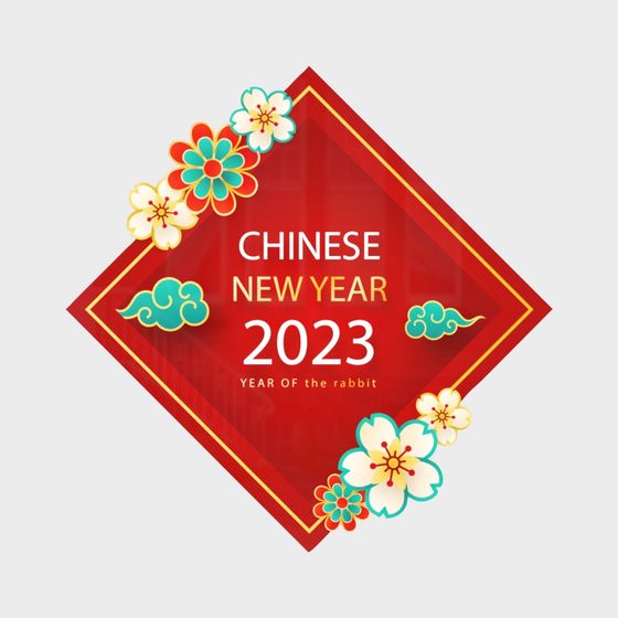 Festive Chinese New Year 2023 3D Model