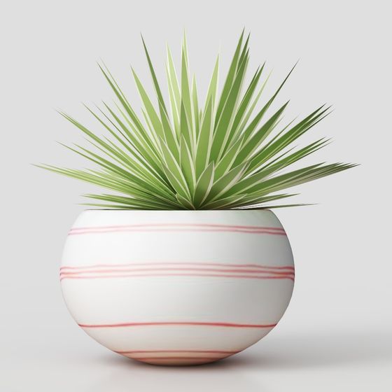 Minimalist Pot with Succulent 3D model