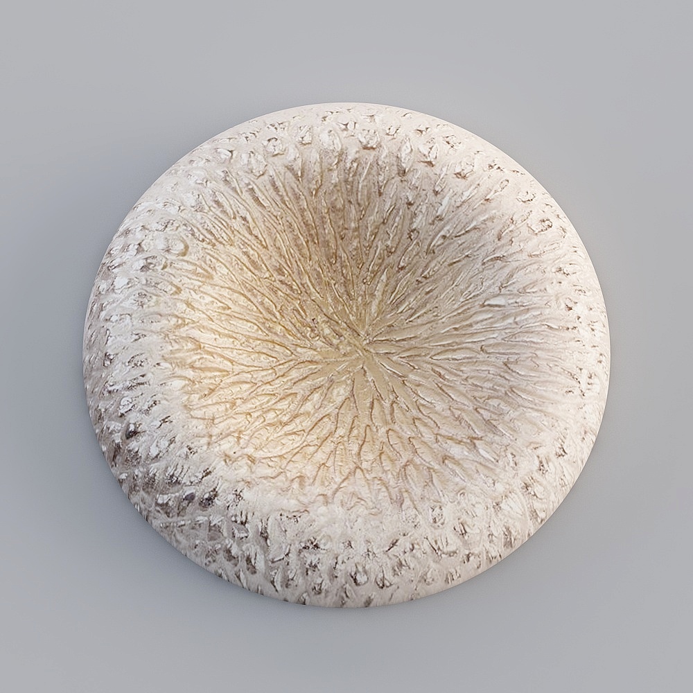 Grand plateau mural décoratif en aluminium champagne