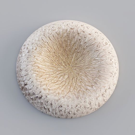 Mystic Mushroom Cap 3D model for Creative Projects