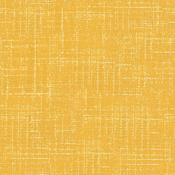 Coral Sea High Precision Cloth Curtain 3D Model