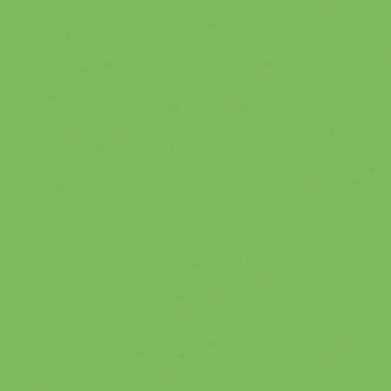 CP 12GR55-69 Green Bean Green 3D Model