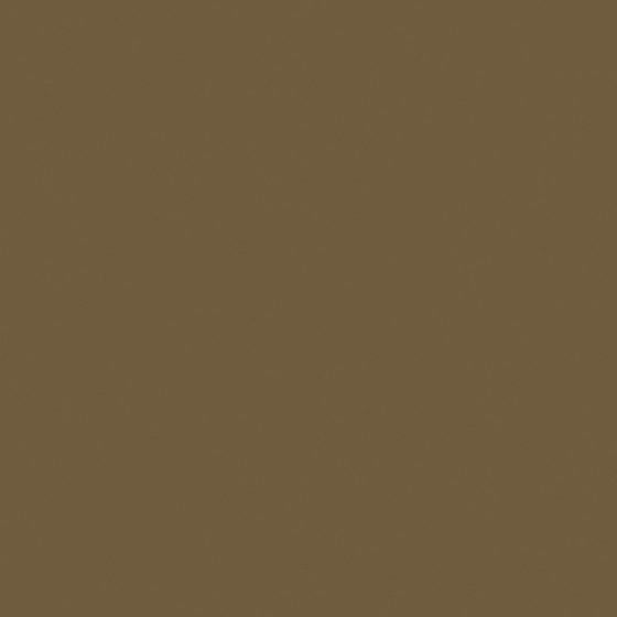 Earth Color CP 10YL19-42 Brown Hemp Paint 3D Model