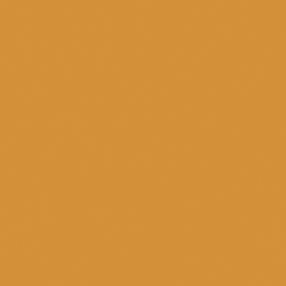 Rich and Rich Wall Paint 3D Model in Earth Tone