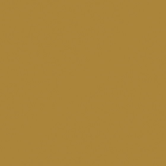 CP 28YL43-58 Mayan Gold in Brown