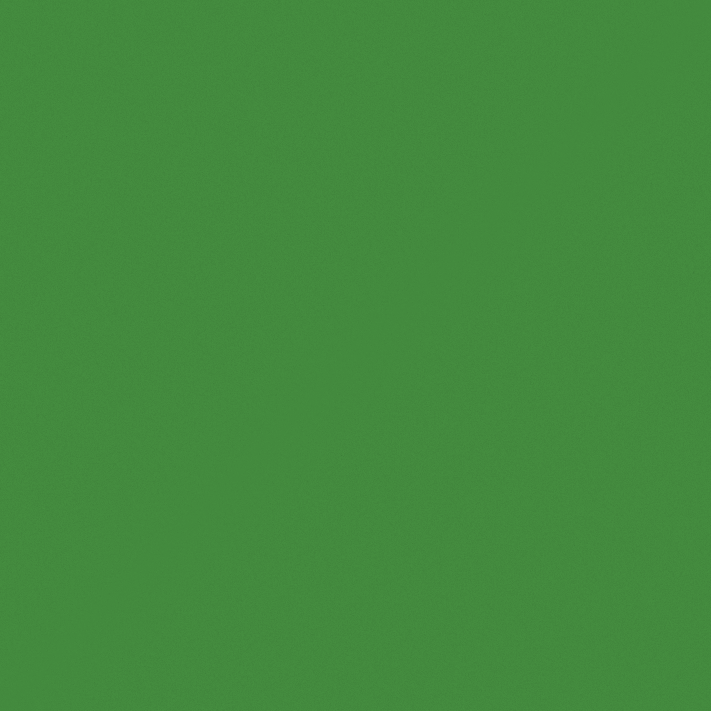 Robin Hood Green Paint 3D Model in Green