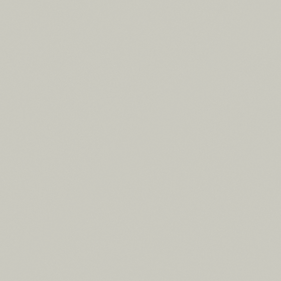 Wood Color Early Spring Rainy Season Wall Paint 3D Model