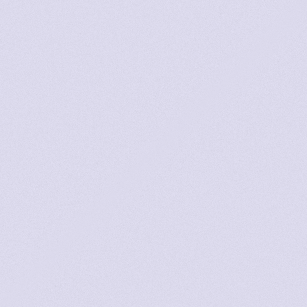 CP 50BR12-85 Purple Daisy