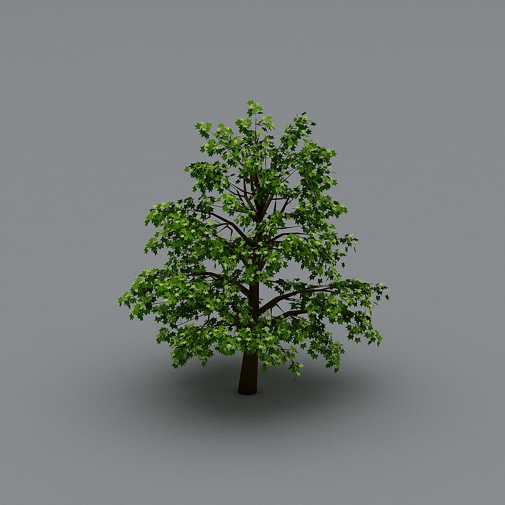 Realistic Oak Tree 3D Model for Nature Scenes