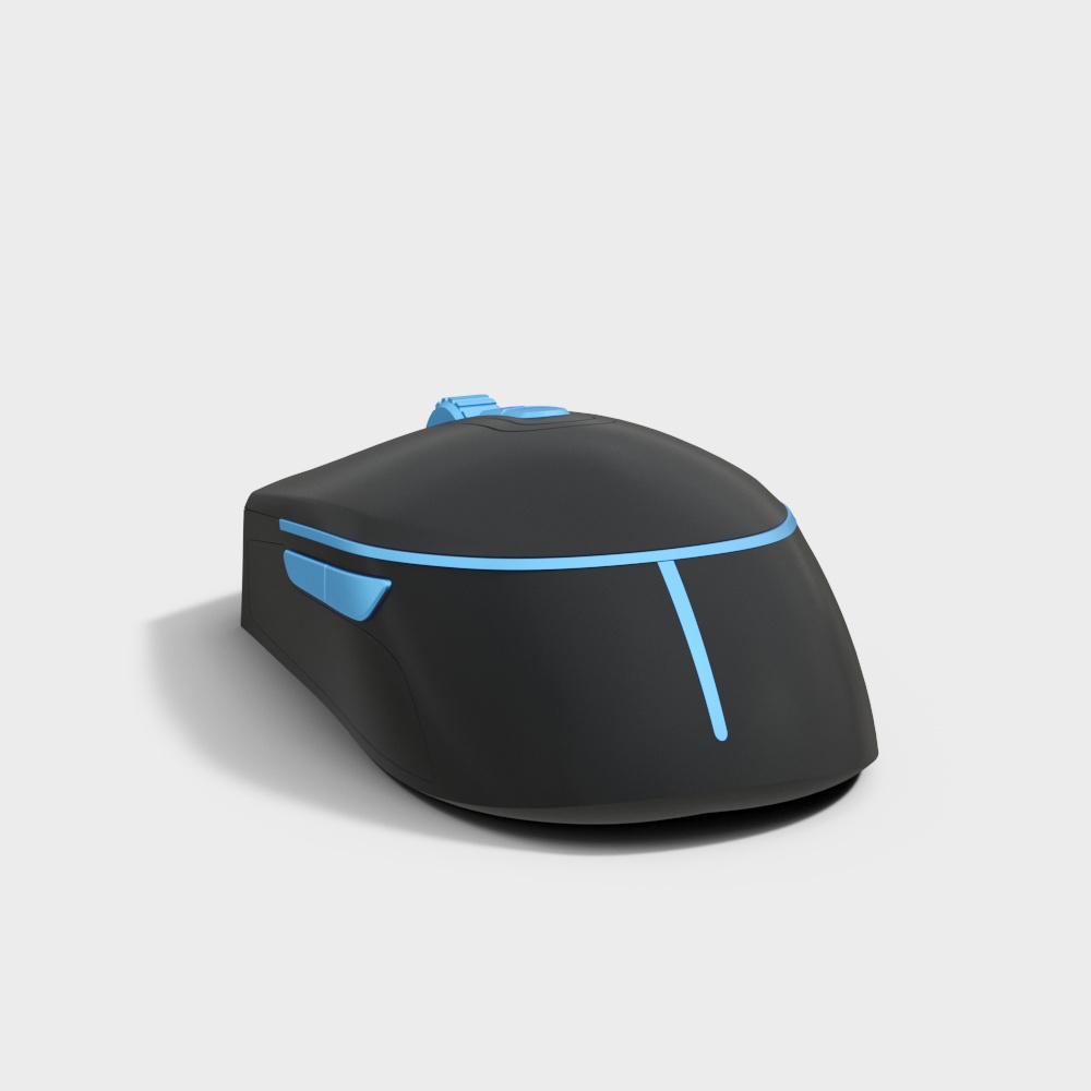 computer mouse