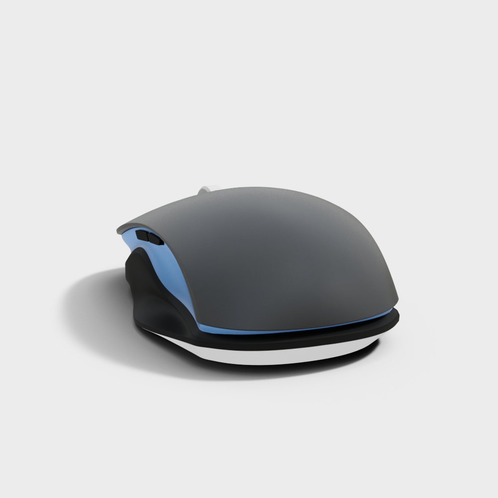 computer mouse