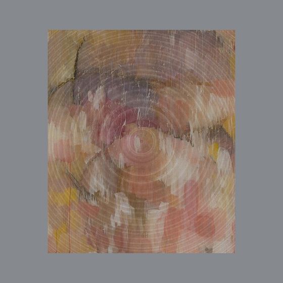 Abstract Vortex 3D Model Design