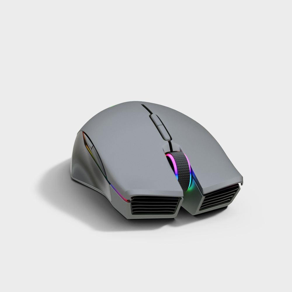 computer mouse