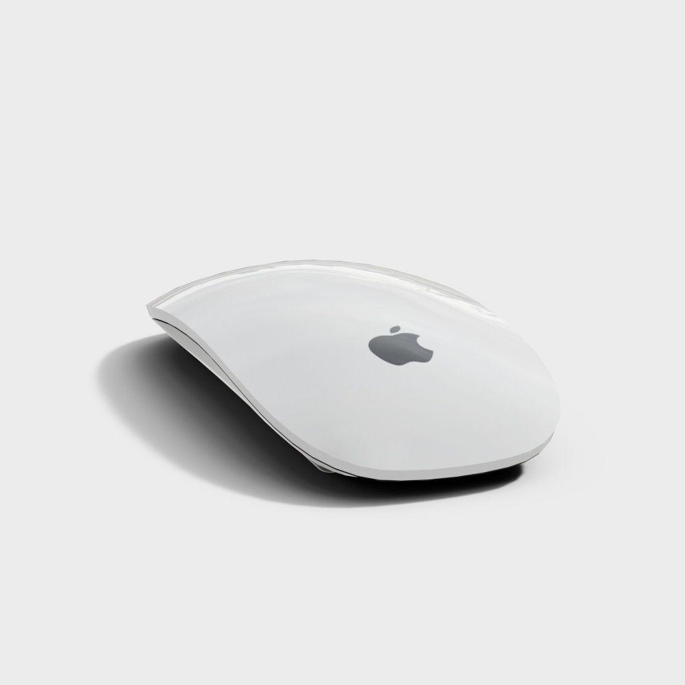 computer mouse