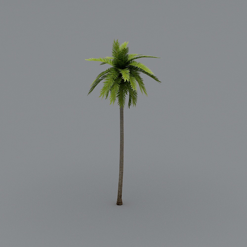 FF_ココナッツパーム04