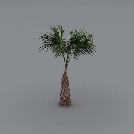 Low-Poly Palm Tree 3D model