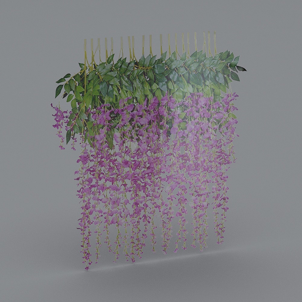 wisteria vines (Third Try)