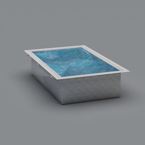 Modern Square Pool 3D model