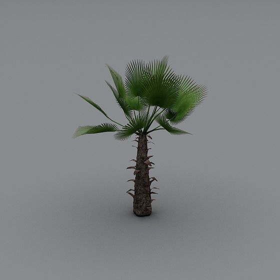 Tropical Palm Tree 3D Model for Creative Projects